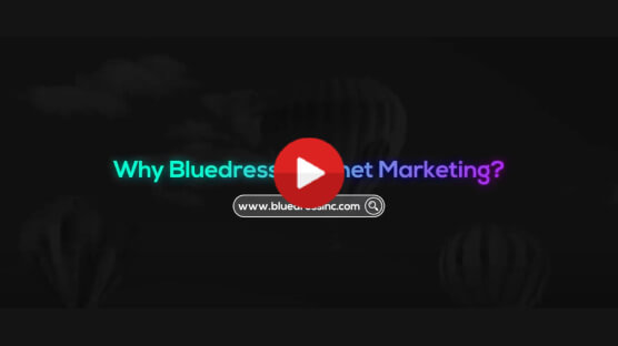 Bluedress SEO company Knoxville Tennessee